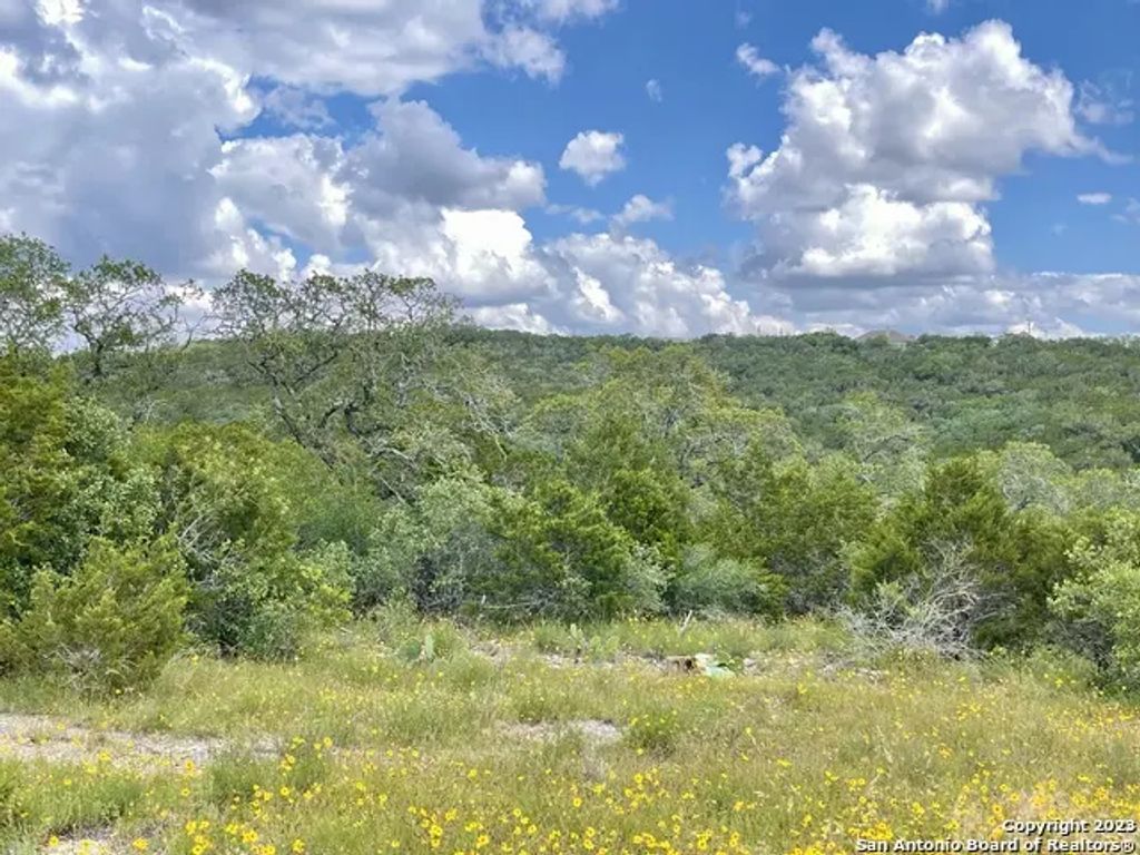 Lot 438 County Rd 2763, Mico
