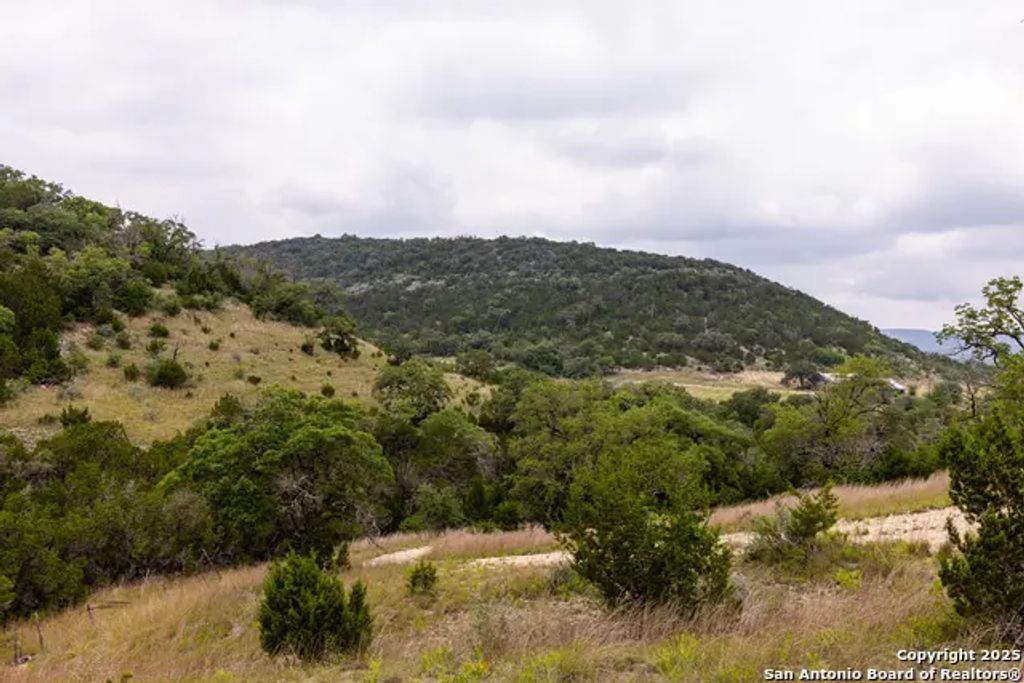 1616 Mickle Creek, Medina