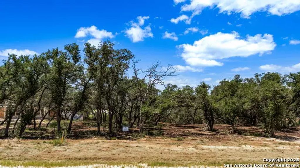 681 Travis Forest Dr, Bulverde