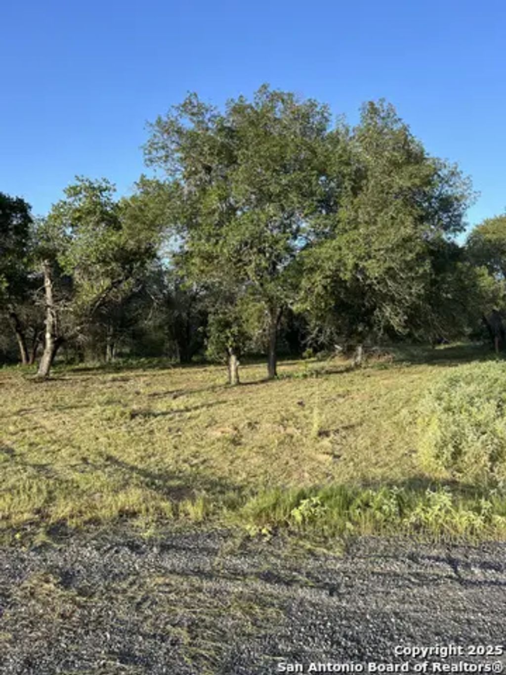 108 Timber, La Vernia