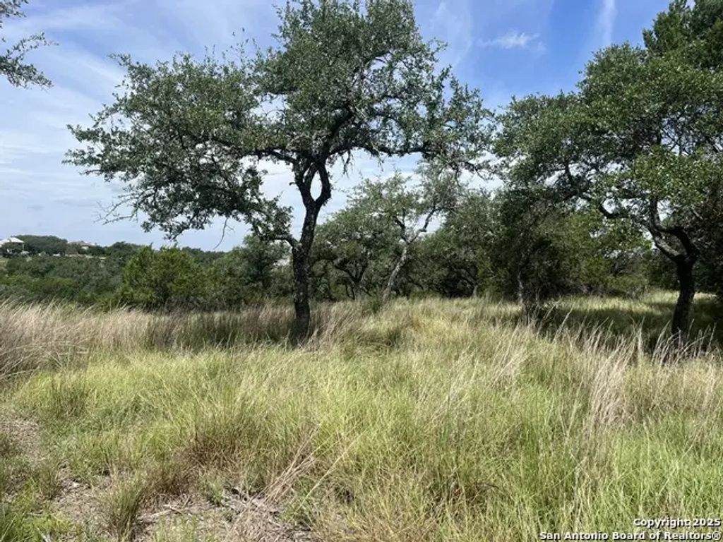 137 Hill Myna, Spring Branch