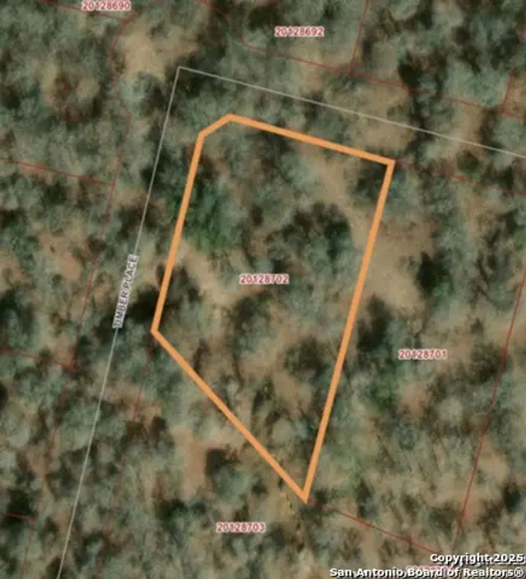 216 Timber Place, La Vernia