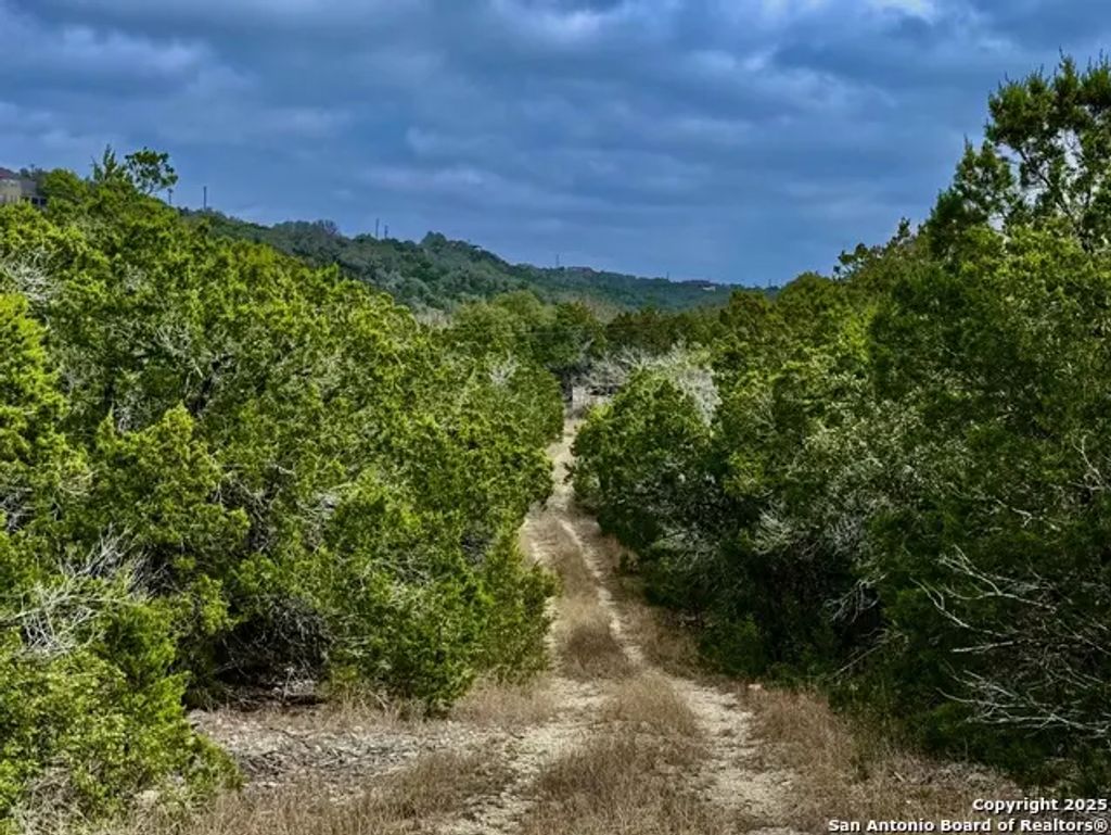9852 Marnoch Rd, Helotes