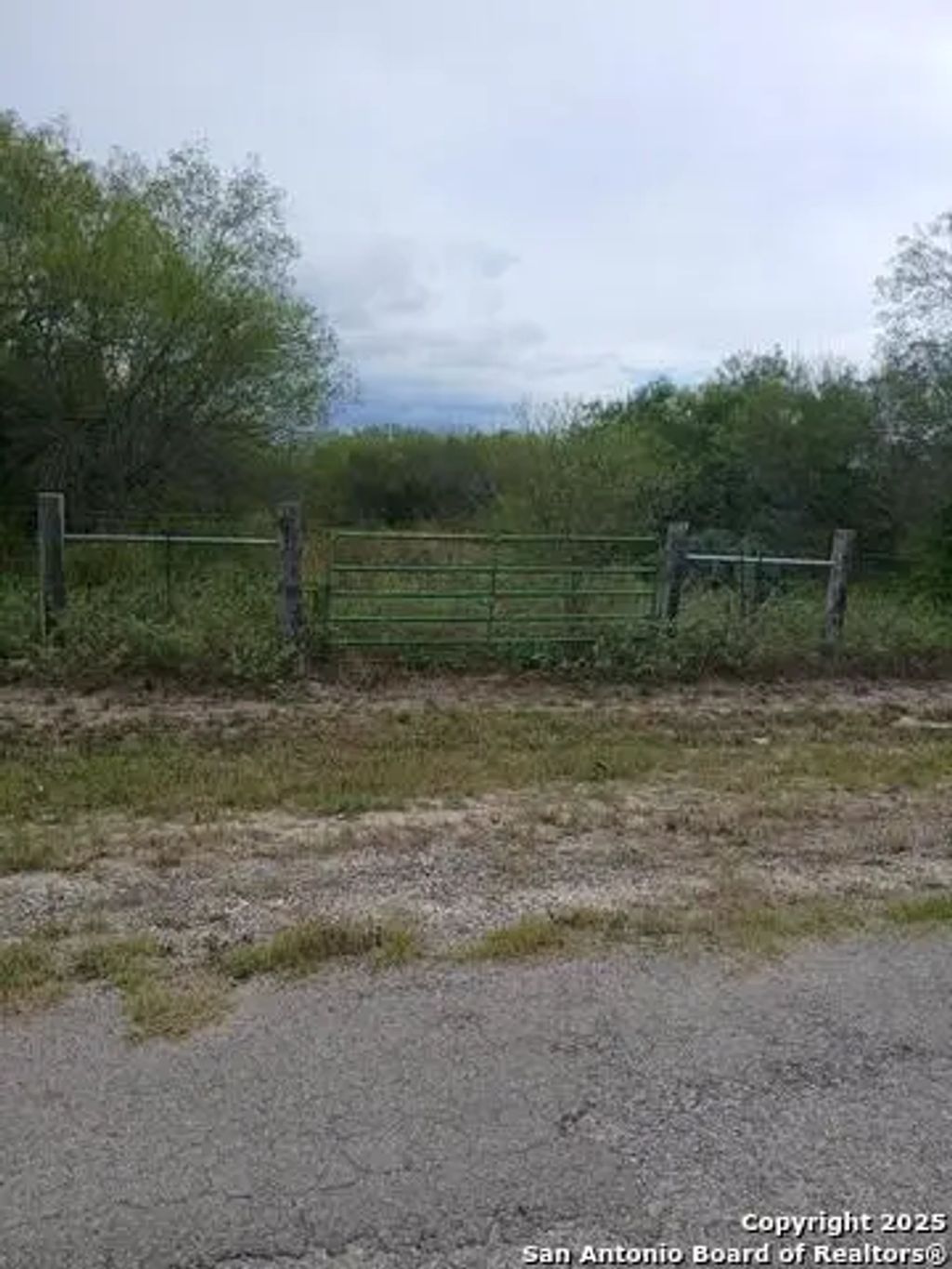 4700 Daisy, Beeville
