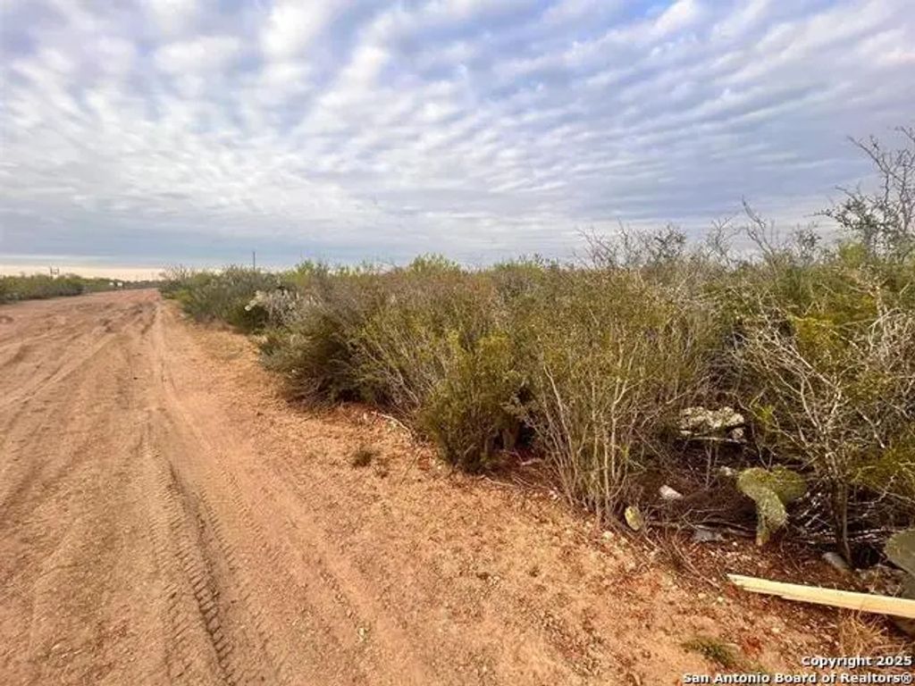 Tract 17 Las Pilas Rd, Laredo