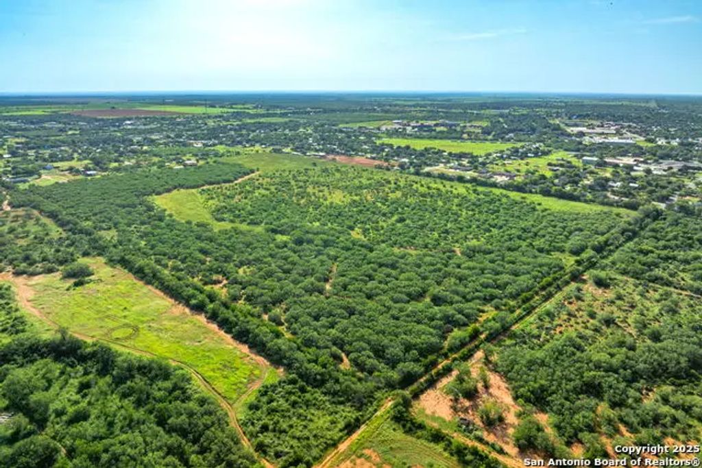 3911 County Road 1000, Pearsall