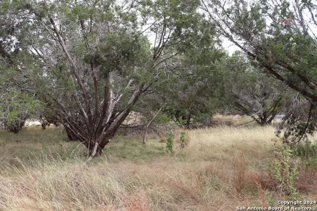 24 Quiet Meadow Cir, Wimberley