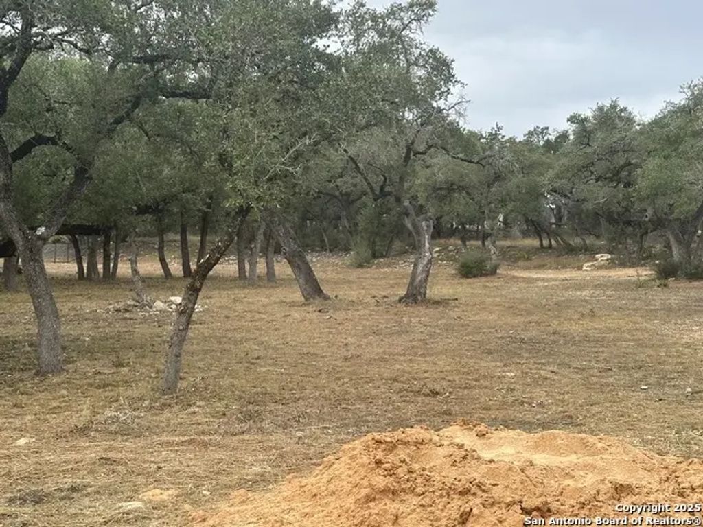 954 Maximino Ridge, Bulverde