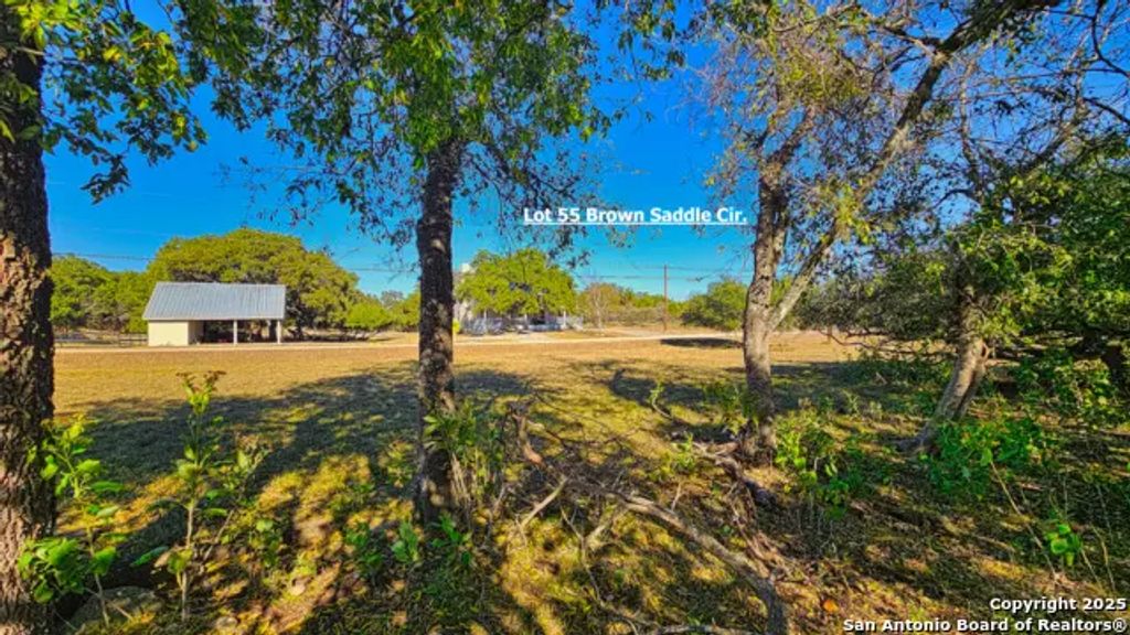 Lot 55 Brown Saddle, Bandera