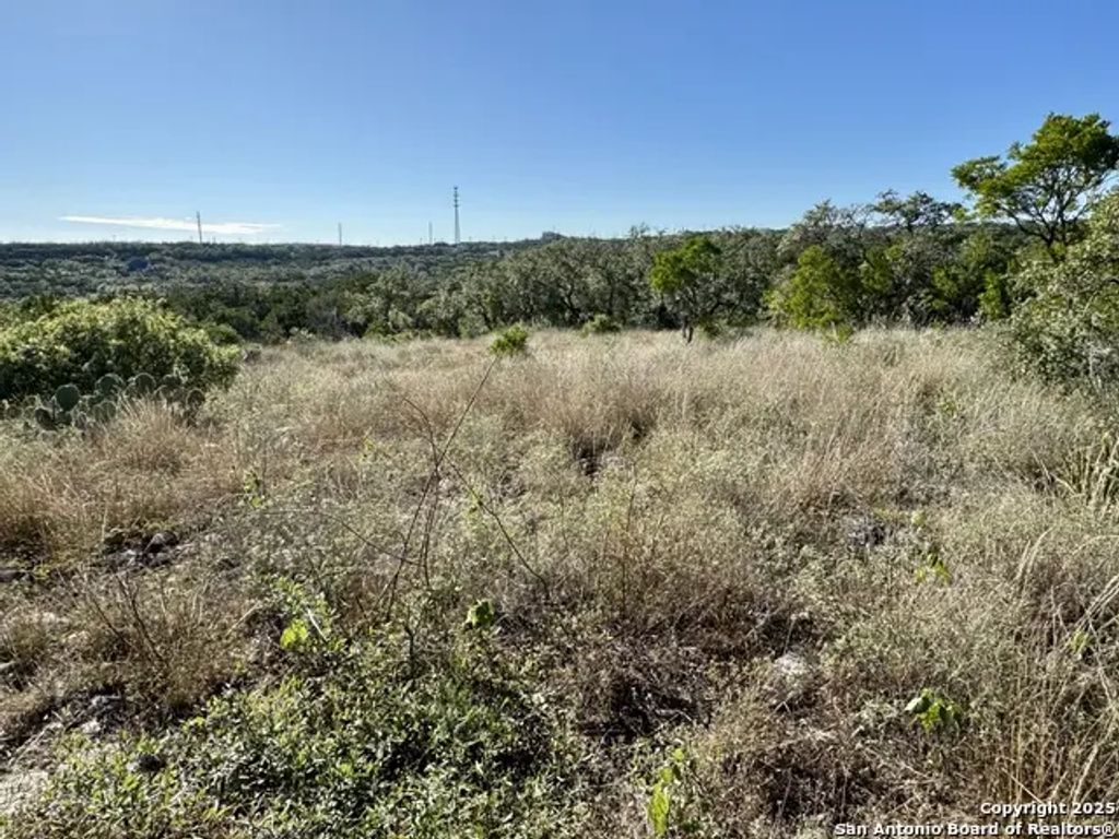 Lot 31 W Cr 2801, Mico