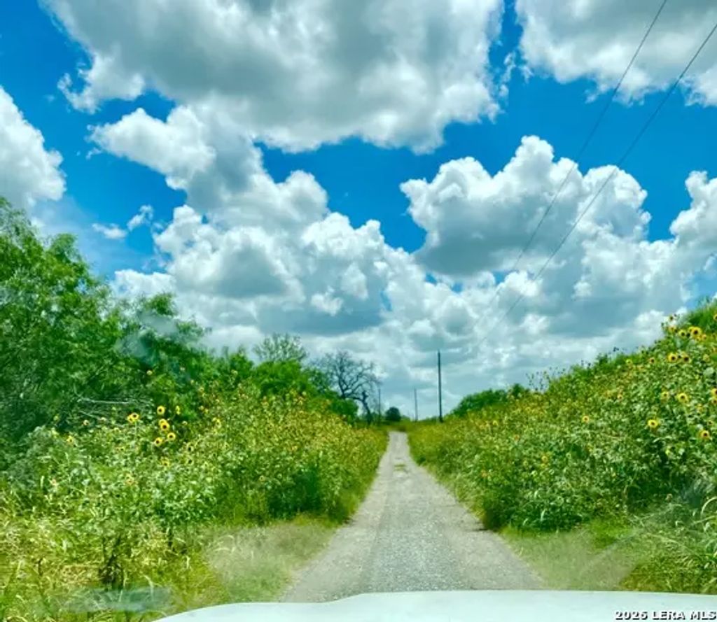 1590 Mccauley Rd, Floresville