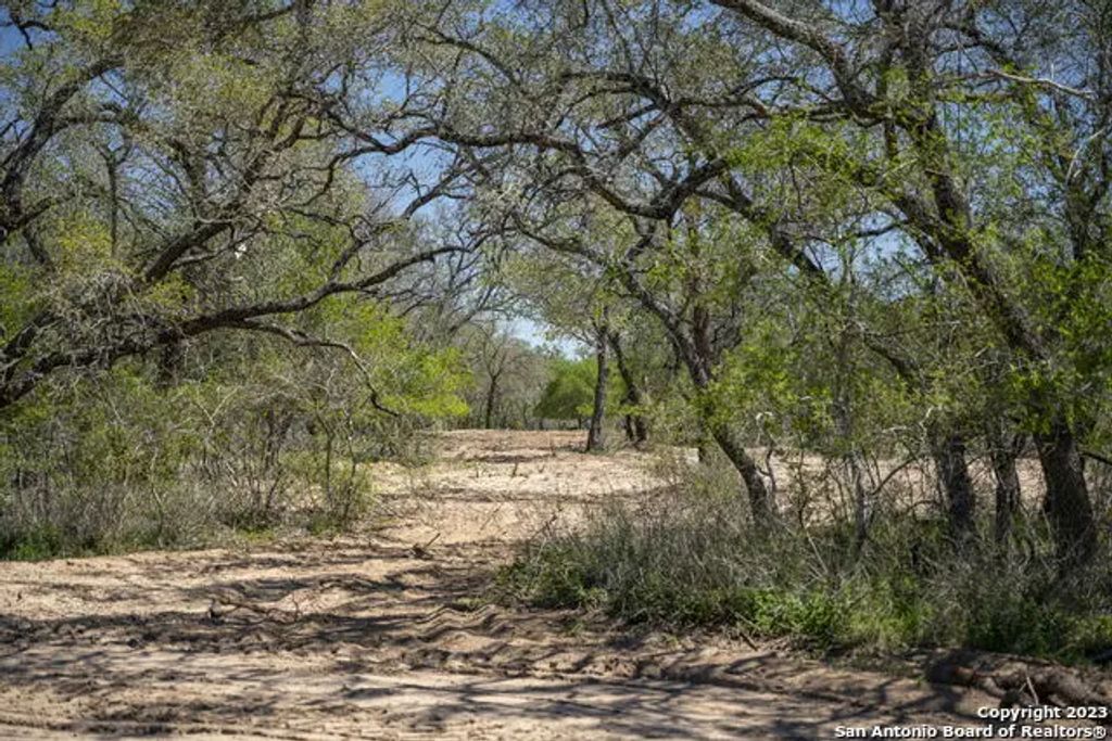 2731 County Road 770, Natalia