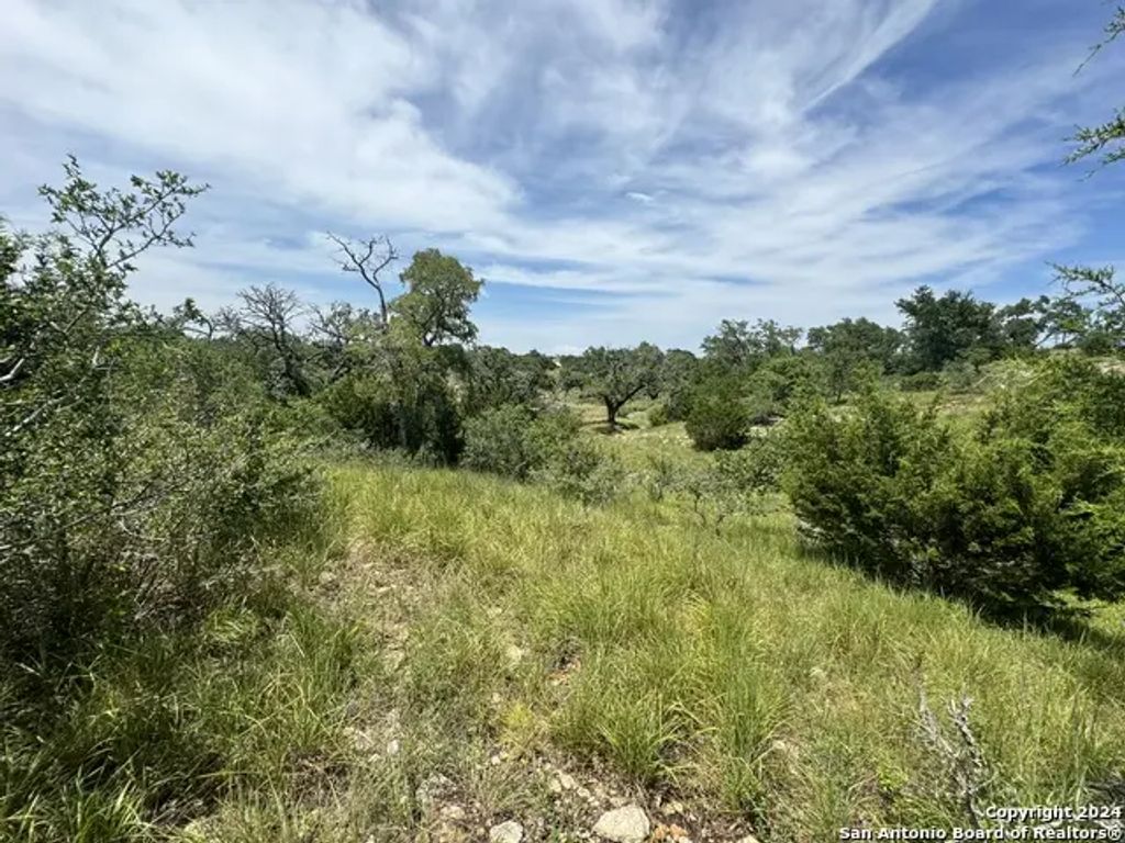 134 W Eli Chandler, Blanco