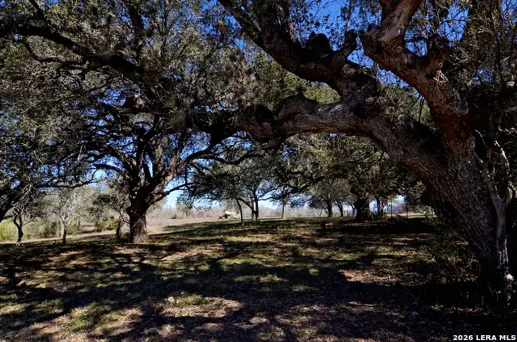 Tbd Highway 181, Beeville