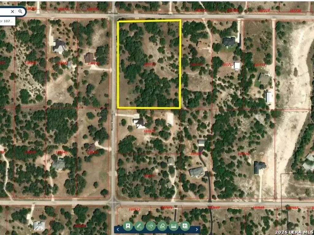 210 Coneflower, Spring Branch