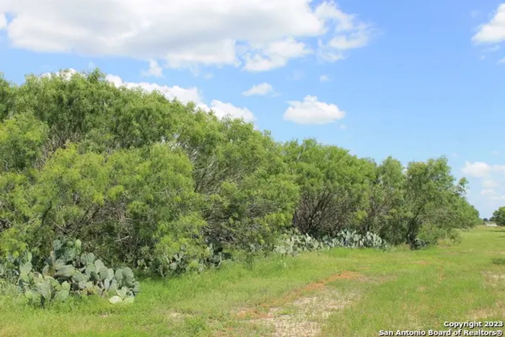 755 Pr Mia Ln - Lot 9a, Floresville