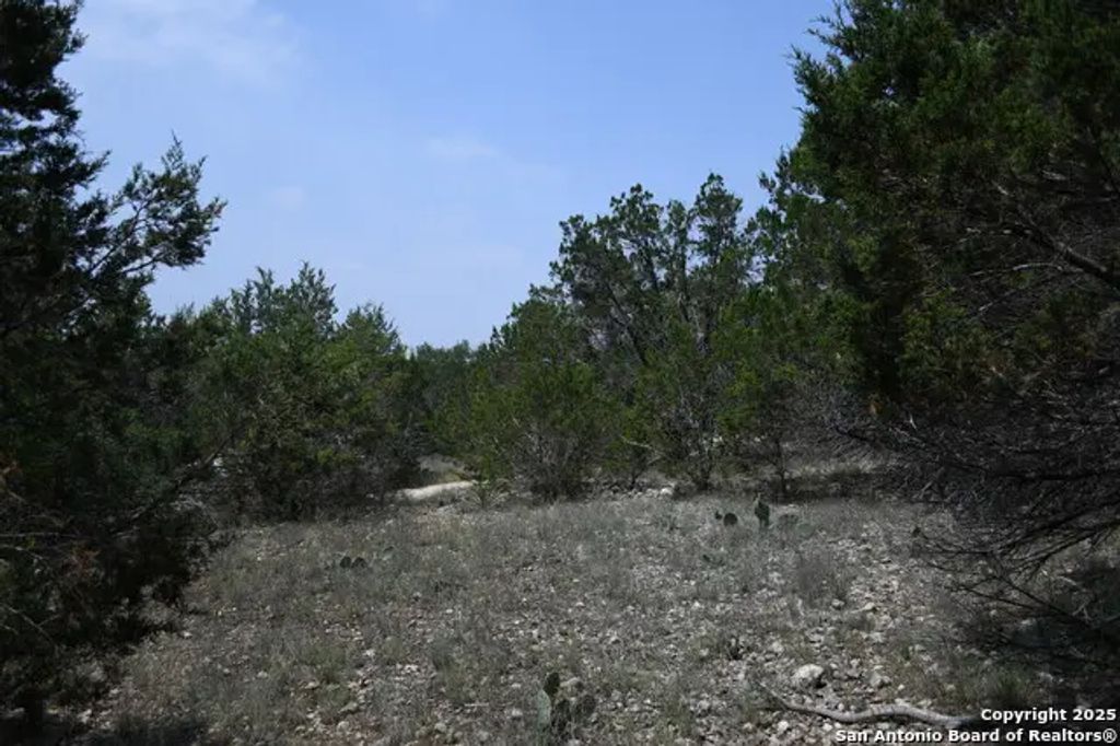 135 Agarita, Spring Branch