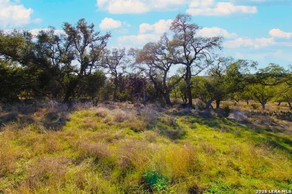 436 Cavy, New Braunfels