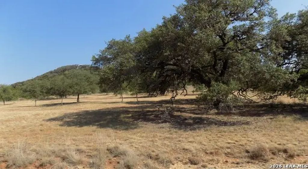 Tbd Hills Of Bandera, Bandera
