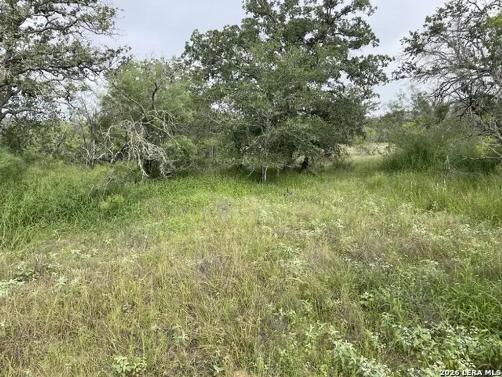 Tract#8 12.31a County Road 777, Devine