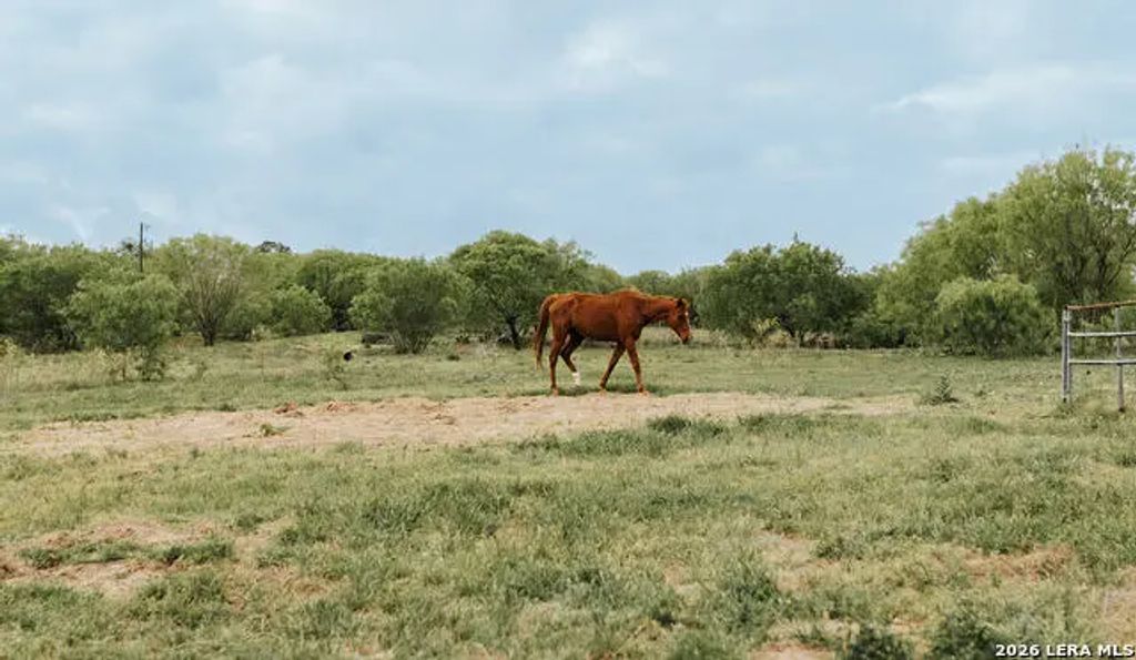 1065 Fm 477, Seguin