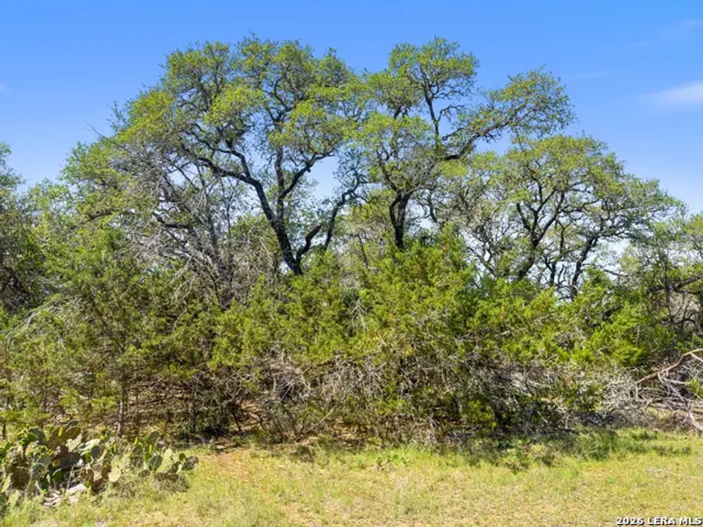 1530 Misty Lane, Spring Branch