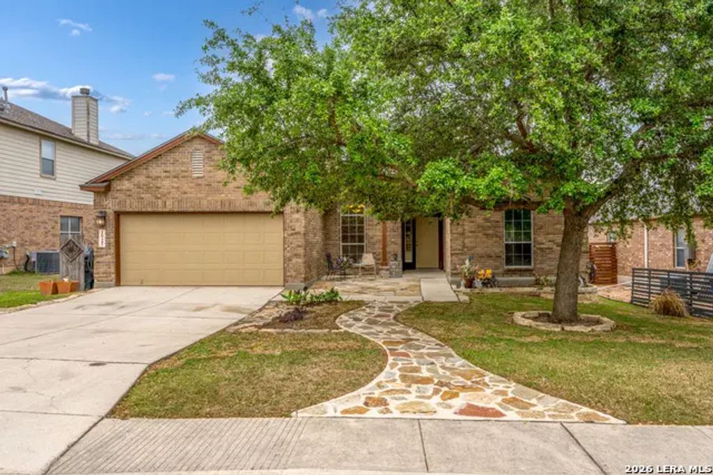 1925 Eastern Finch, New Braunfels