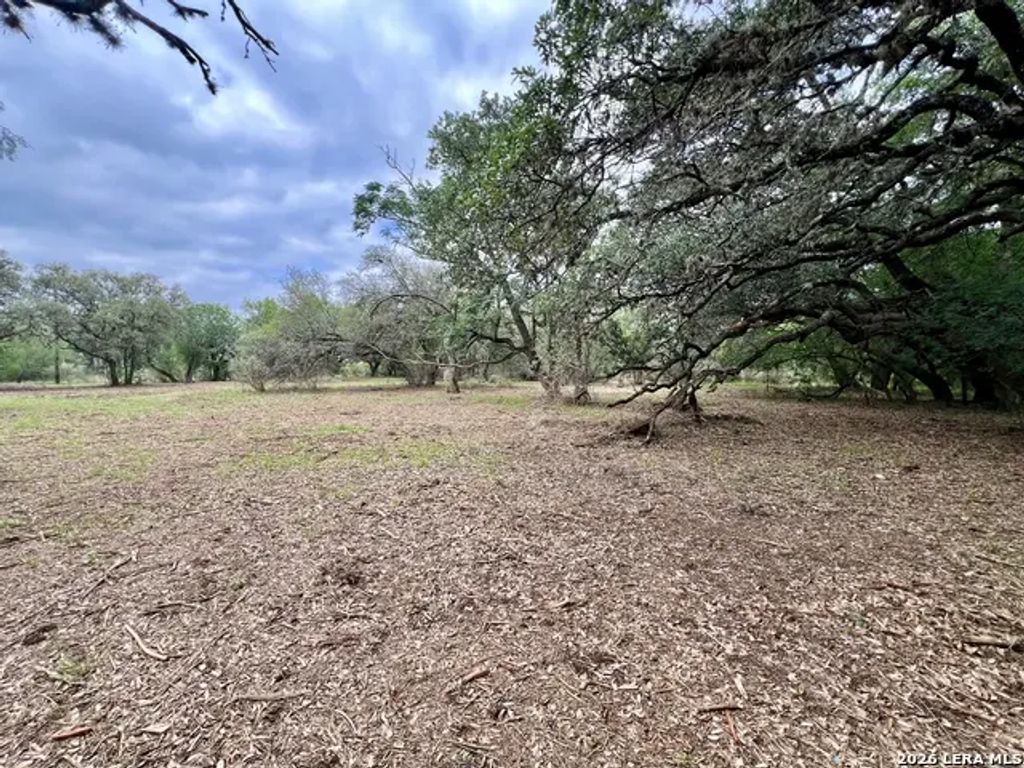 Low Bid Ln, San Antonio