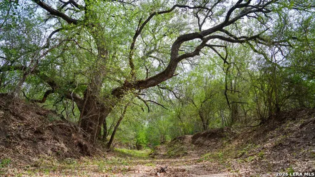 1251 County Road 210, Floresville