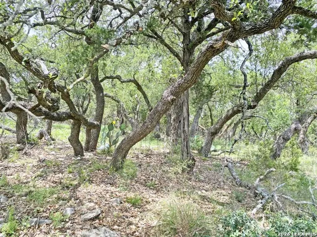 25726 Echo Mtn, San Antonio