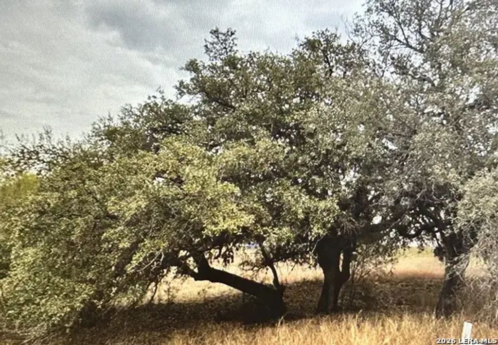 71 River Blf, Castroville