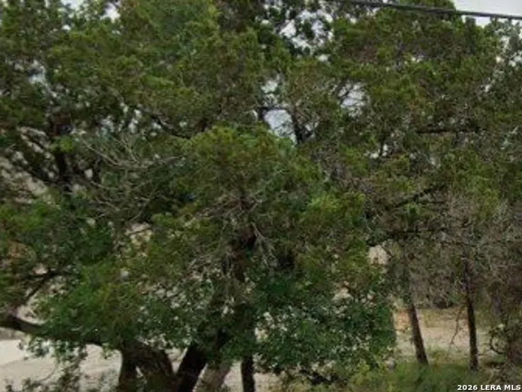 1075 Hedgestone, Canyon Lake