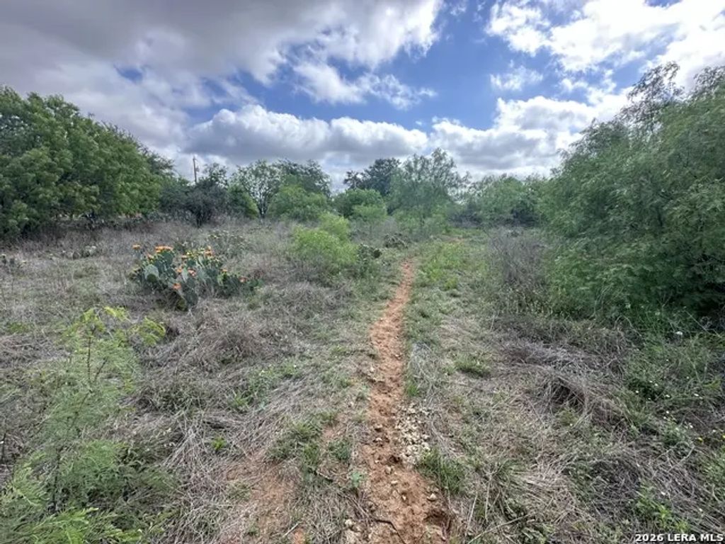 17603 Shepherd Rd, Atascosa