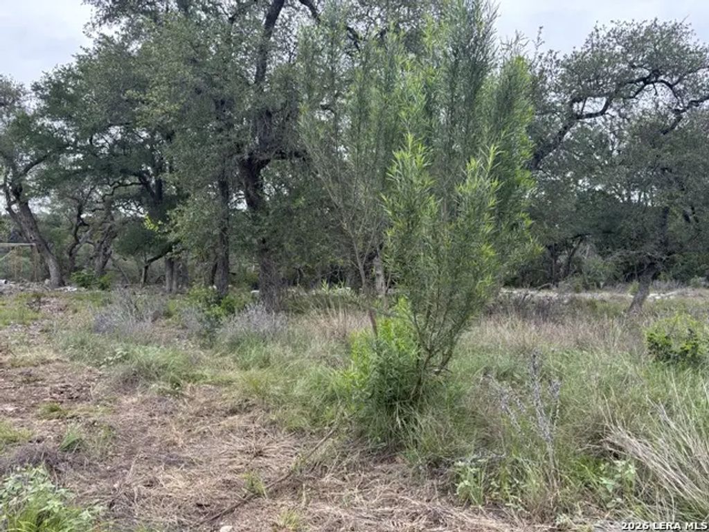 1464 Stahlman Way, New Braunfels