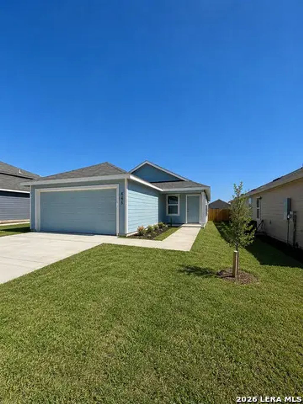 751 Bullsnake, New Braunfels
