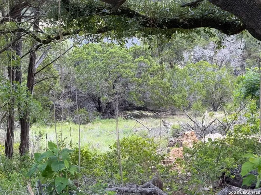 273 Scenic Dr., Canyon Lake