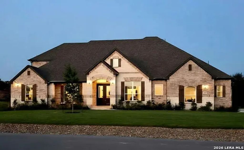 10696 Chestnut Warbler, New Braunfels