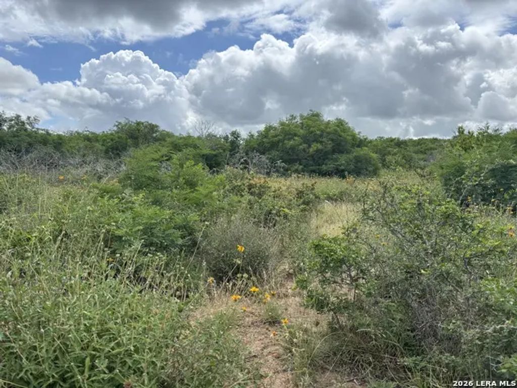 Cr 1515, Moore