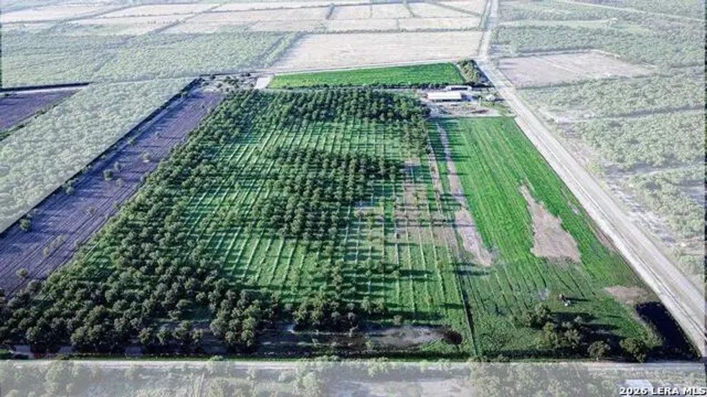 Lot D Fm 1908, Quemado