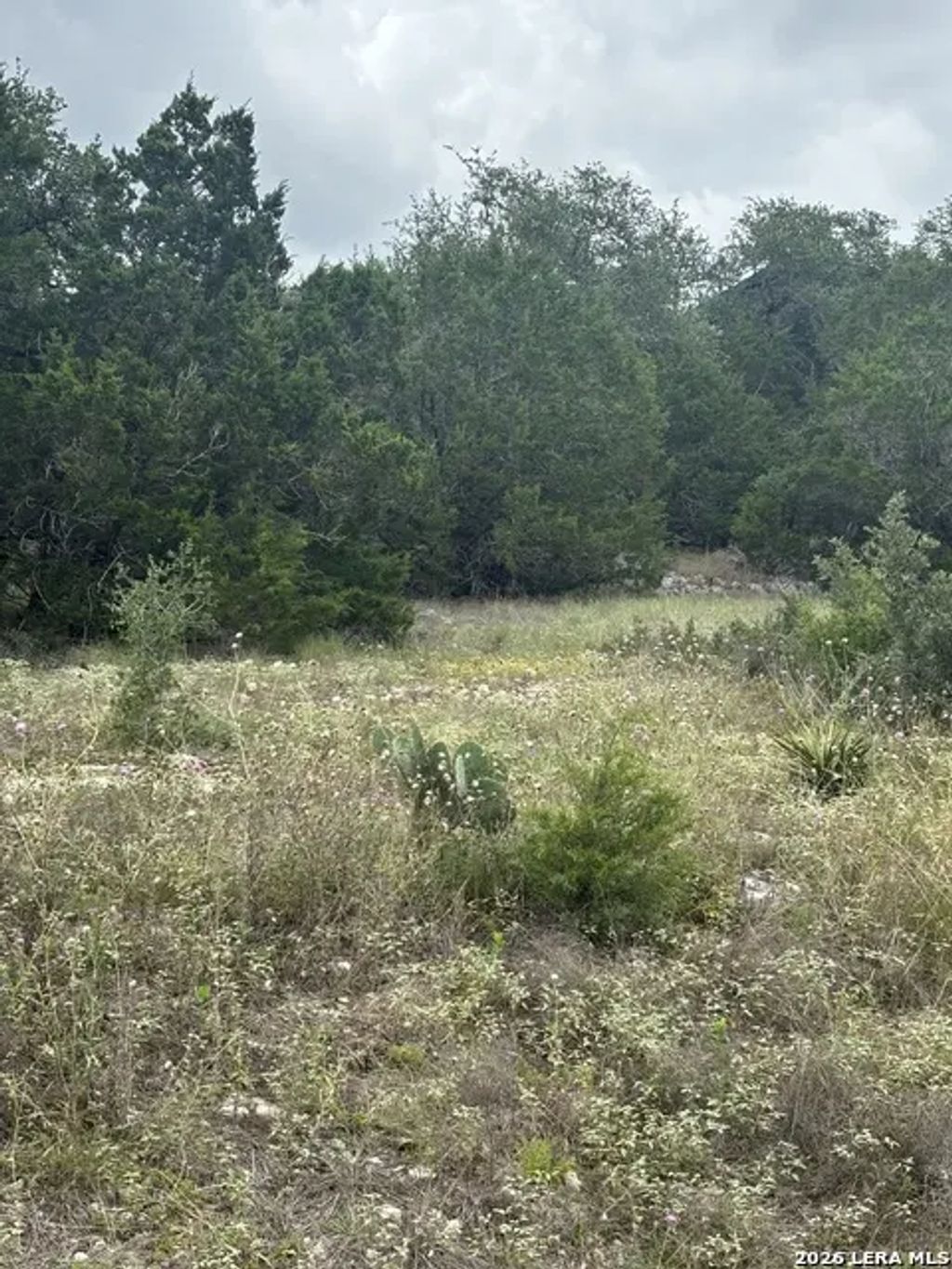 1328 Powder Ridge Rd, New Braunfels