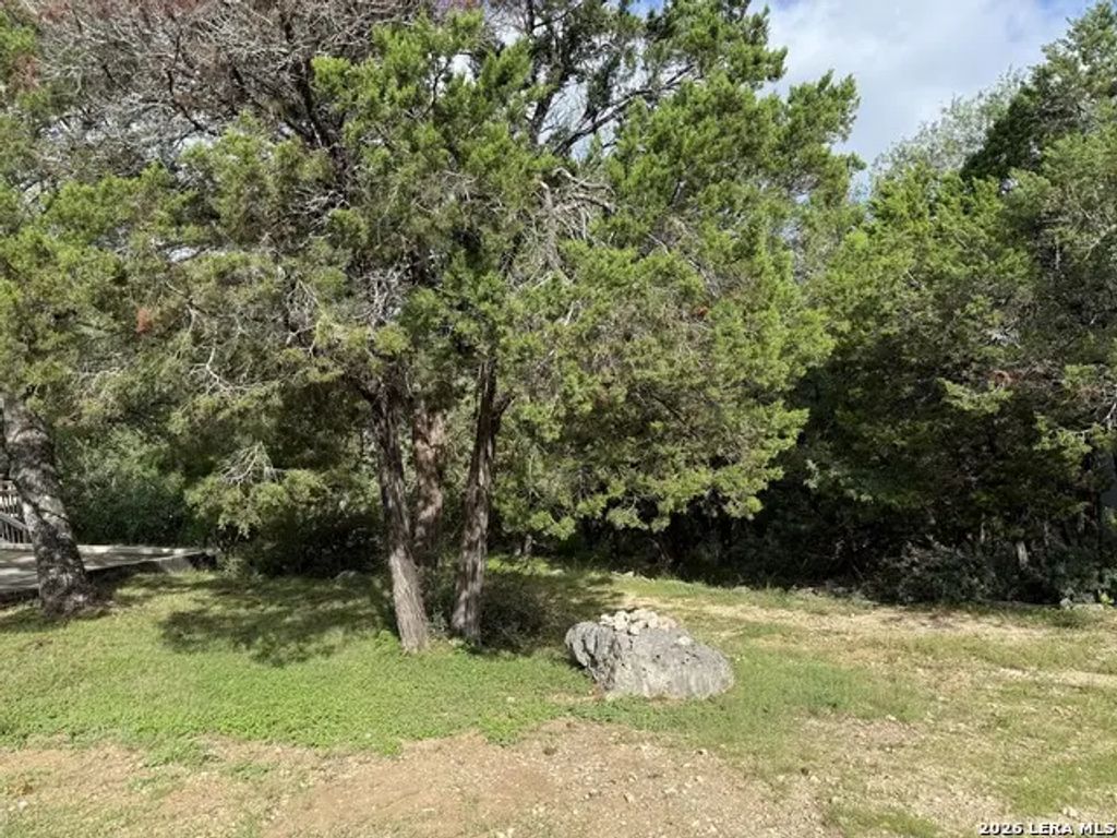 295 Nancy, Canyon Lake
