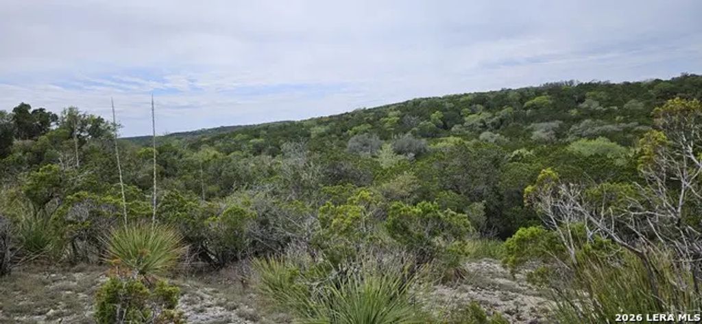 21207 Scenic Loop, Helotes