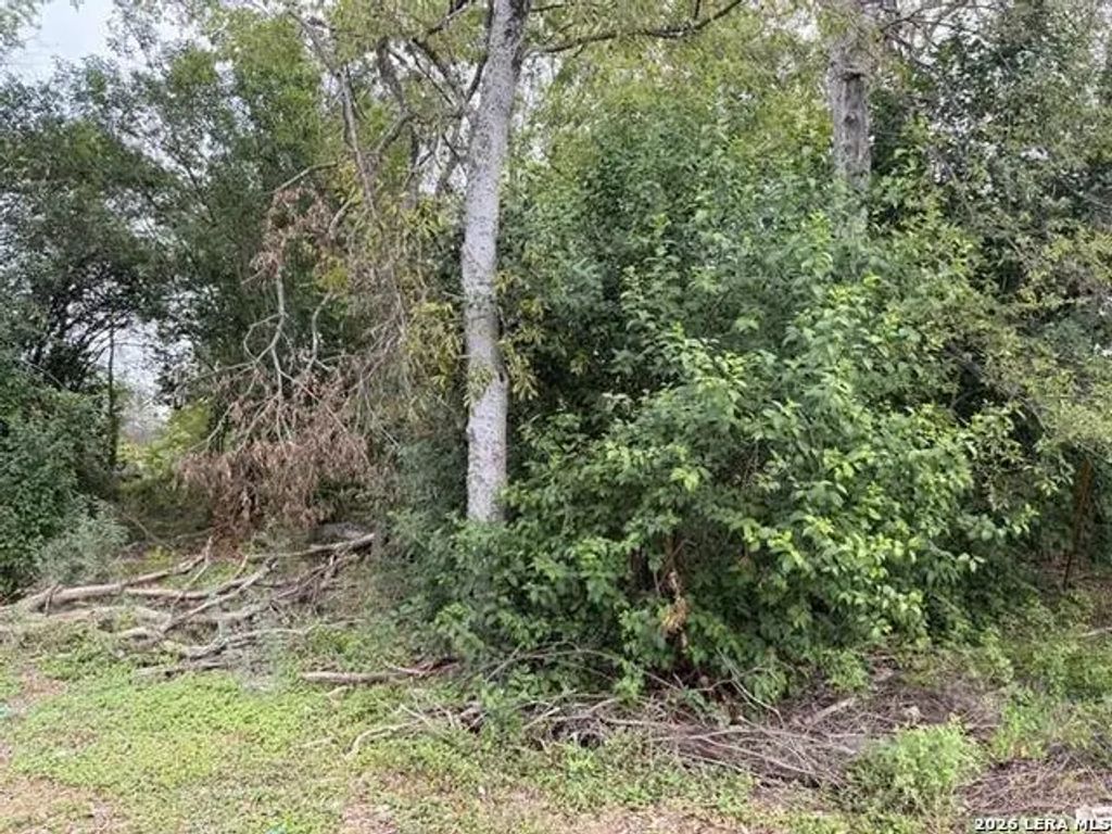 331 Bundy, San Antonio