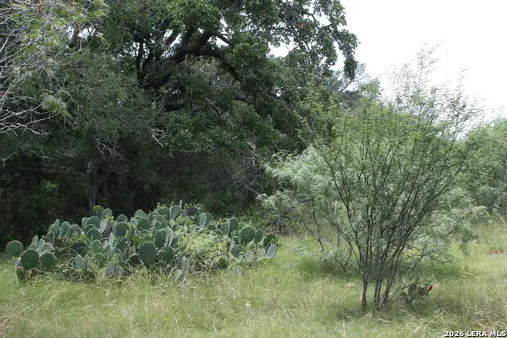 Tbd Fm 3353, Seguin