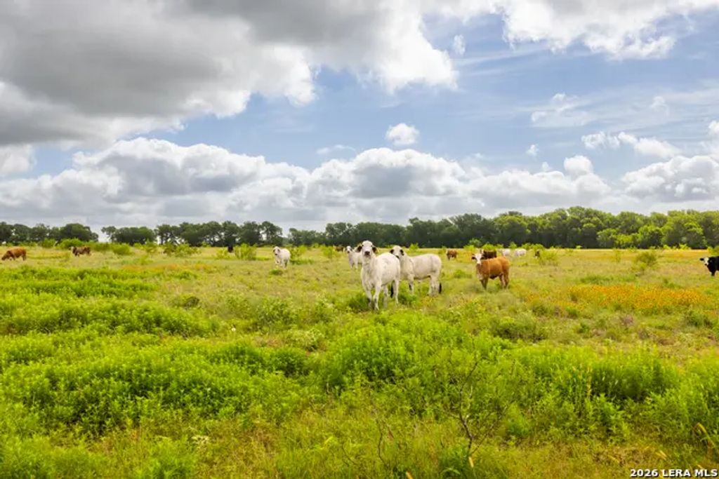408 E Fm 739, CORSICANA