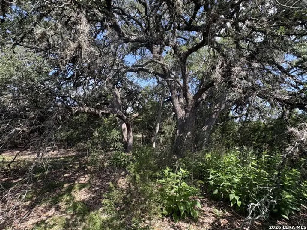 Lot 2025 Split Ridge, Spring Branch