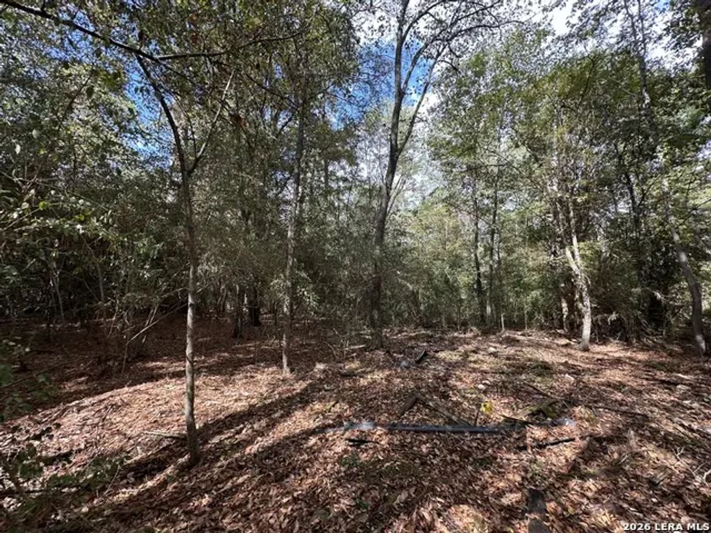 467 Jape Massingill Ln, Diboll