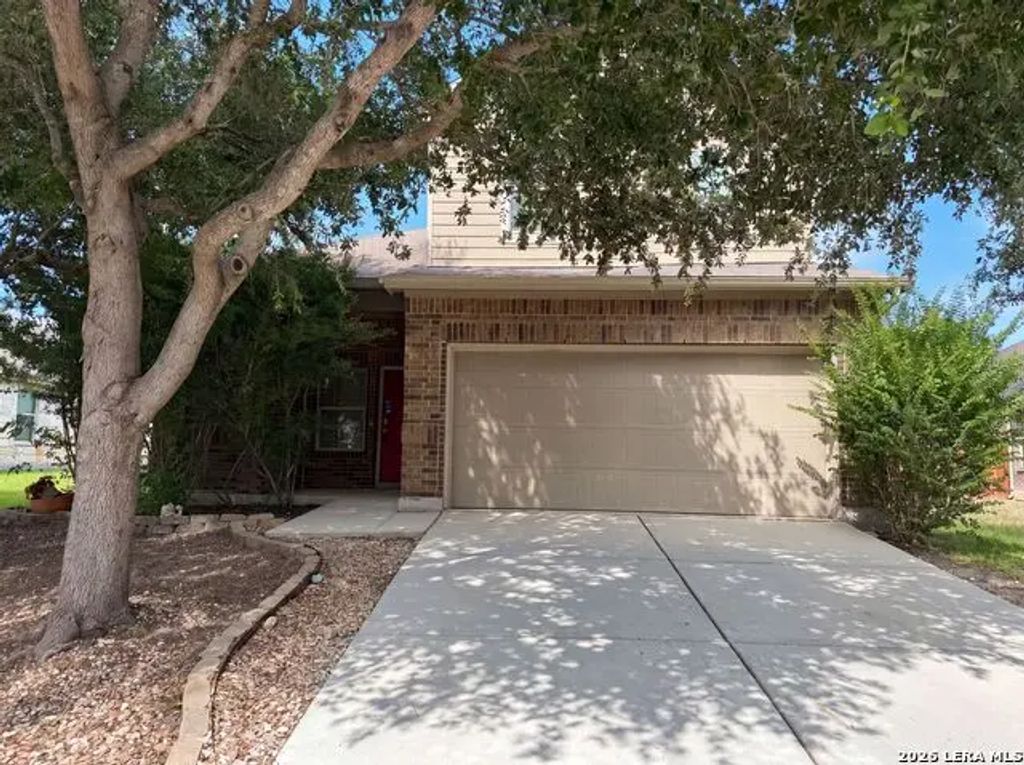 3133 Muntjac, Schertz