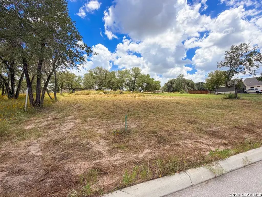 165 Ash Parkway, La Vernia