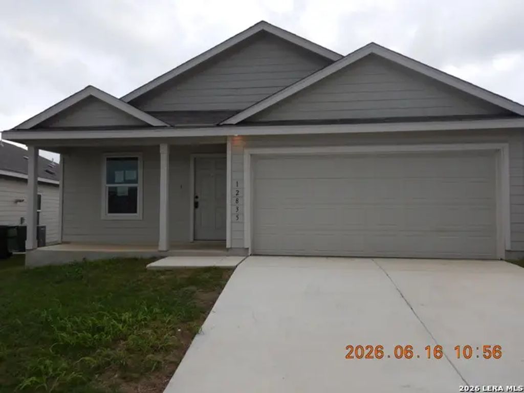 12835 Basil Cluster, St Hedwig